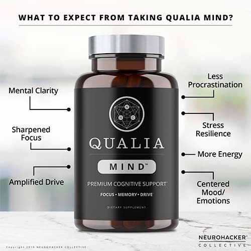 Qualia-Mind-1